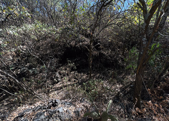 __wf_reserved_inherit