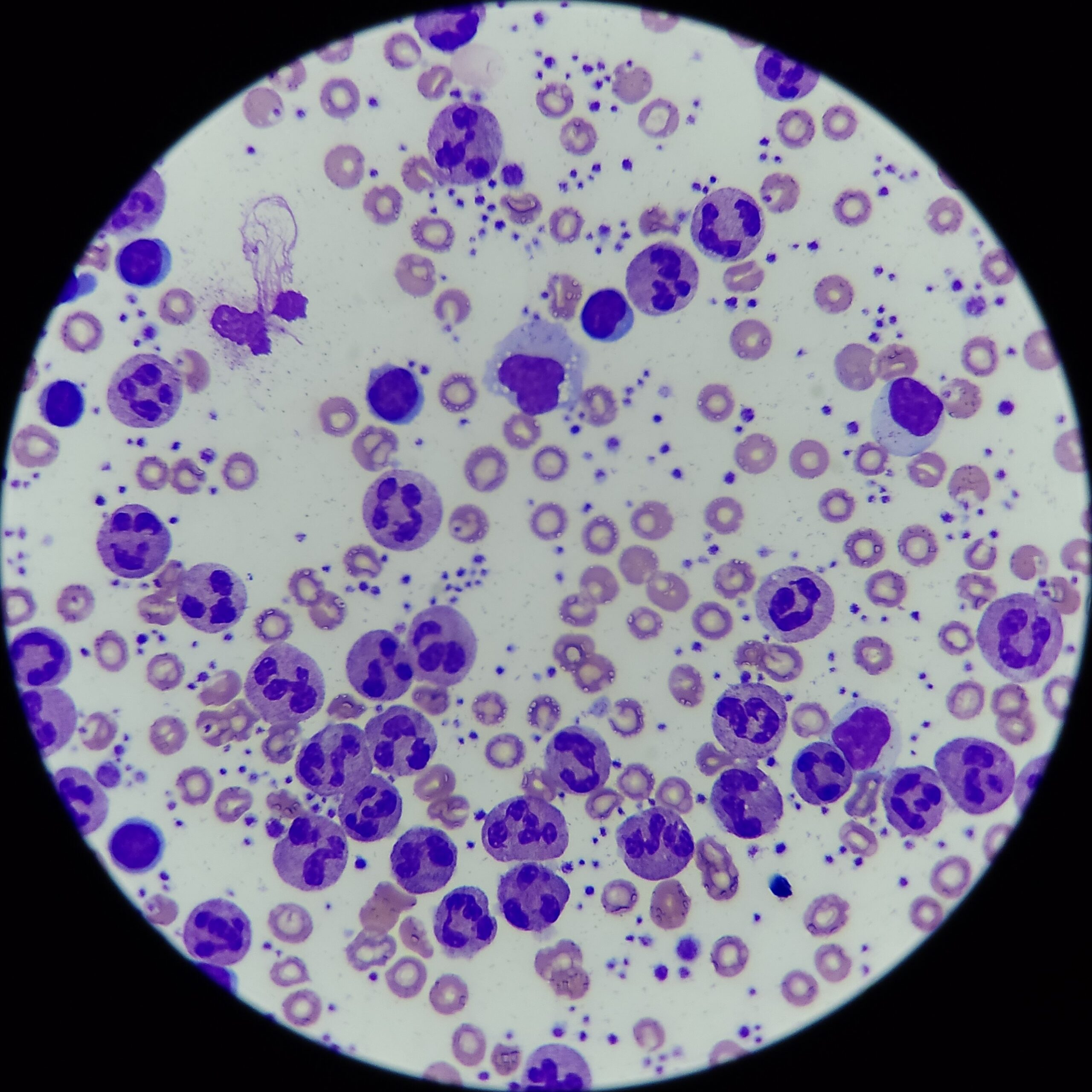 __wf_reserved_inherit