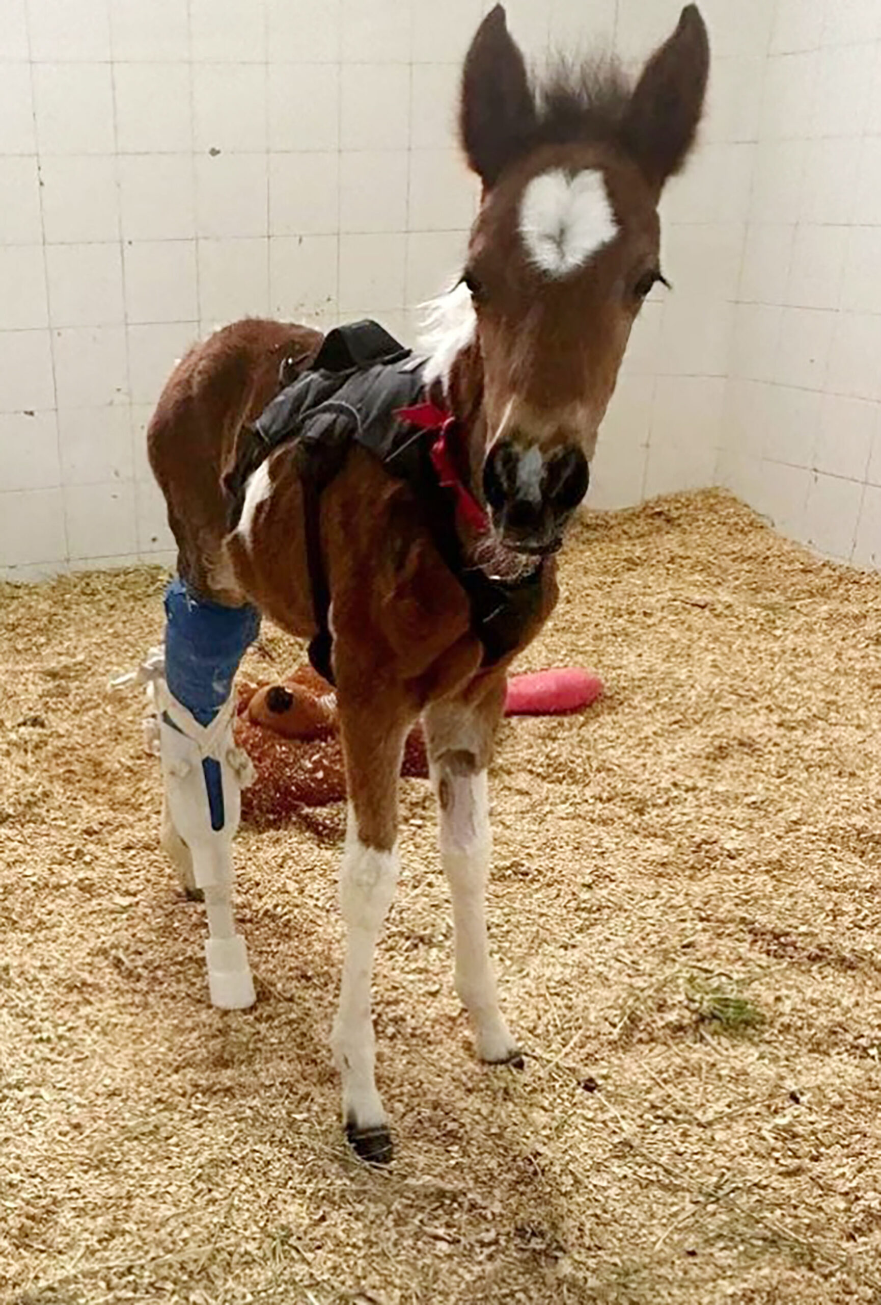 __wf_reserved_inherit