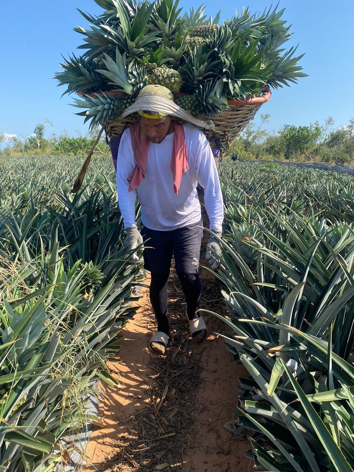 __wf_reserved_inherit