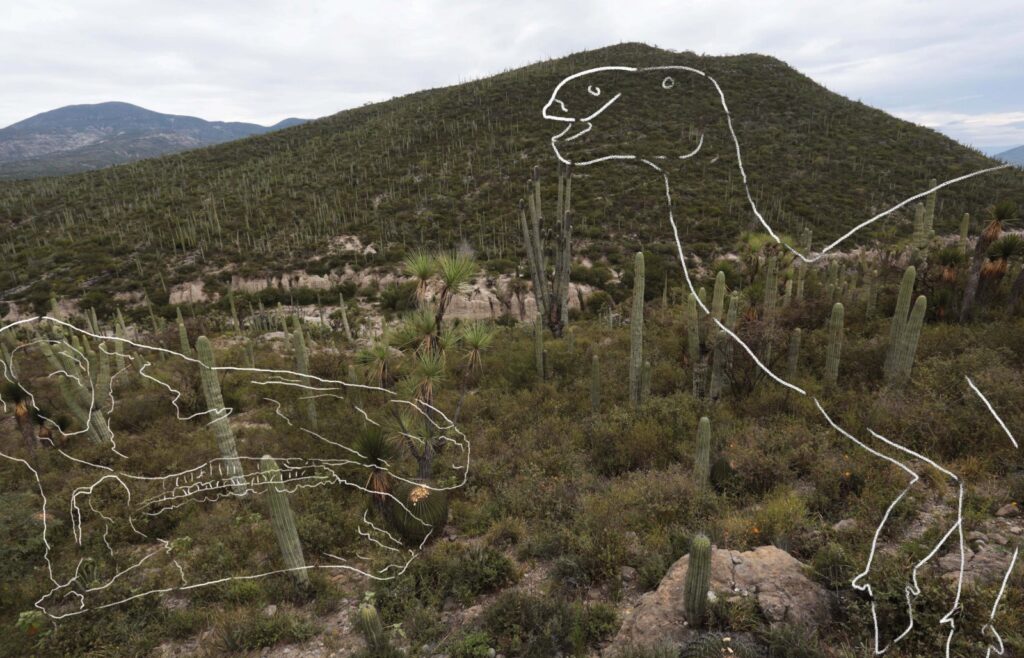 Dinosaurios en Puebla: hallan huellas fosilizadas en antiguos suelos marinos