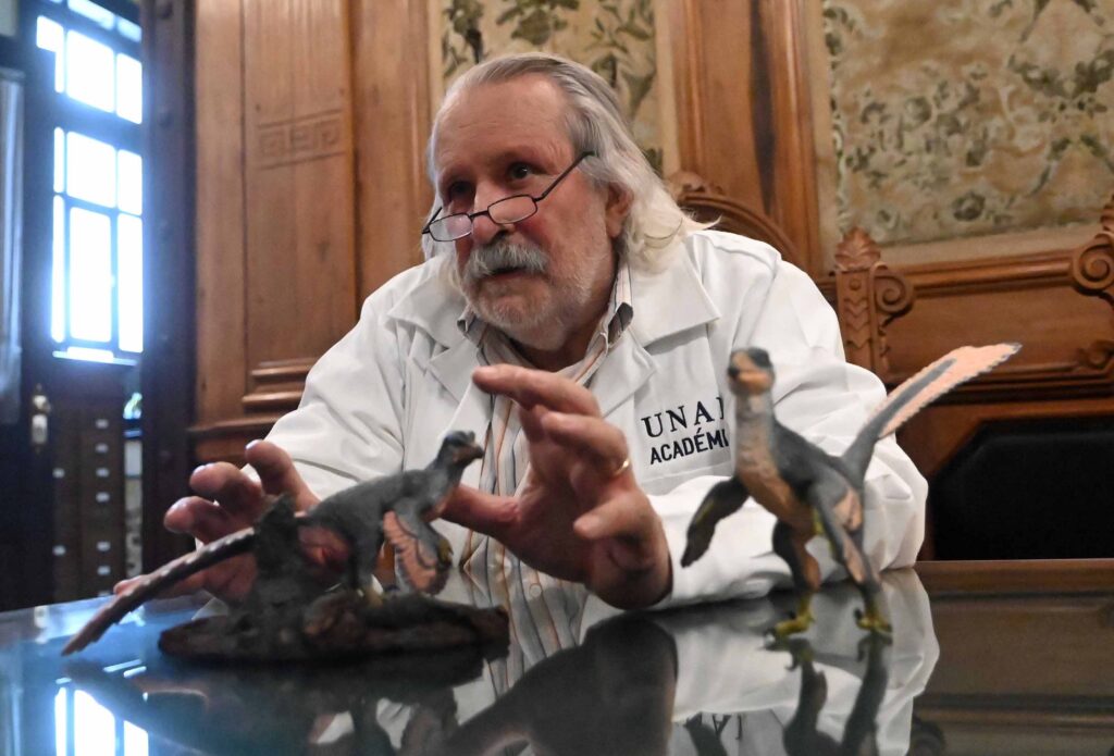 Xenovenator espinosai