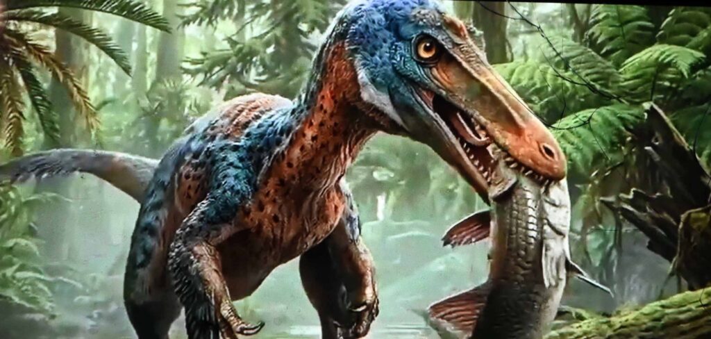 Xenovenator espinosai