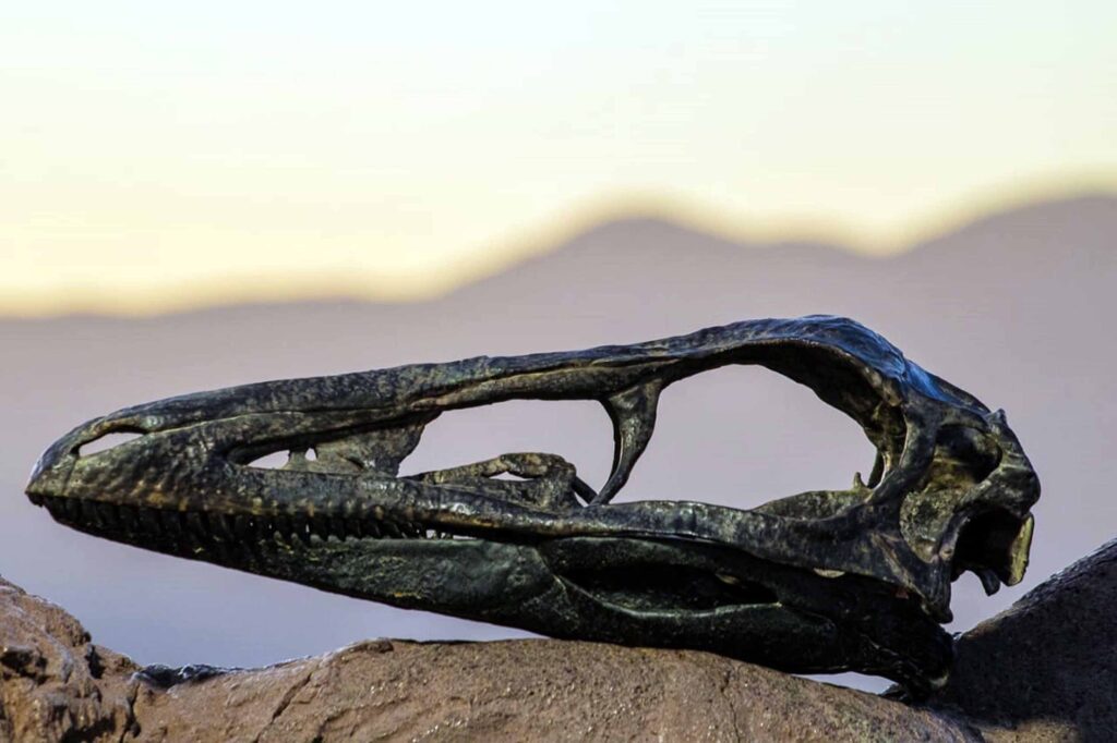 Xenovenator espinosai