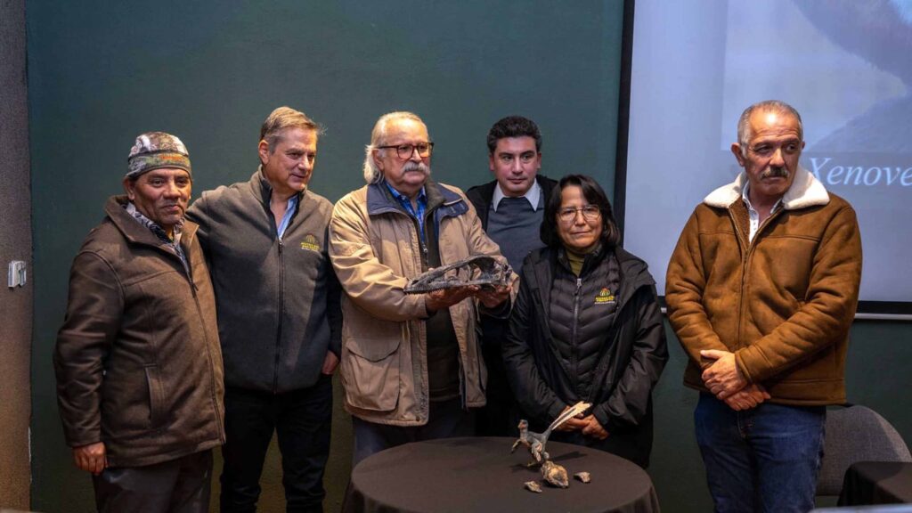 Xenovenator espinosai